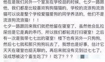 红星新闻爆料,揭秘事件背后惊人真相